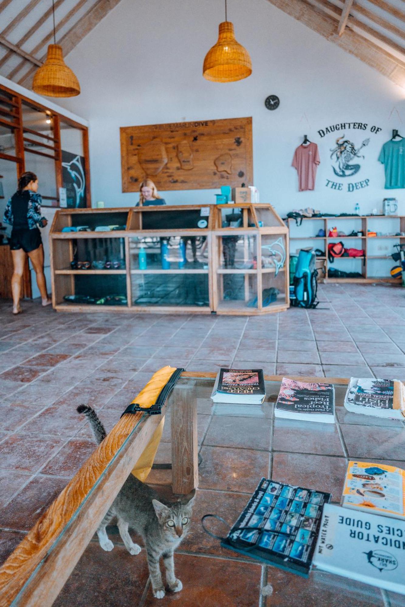 Blue Marlin Dive Hotel Gili Air